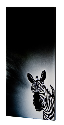 UDEN-700_somaliyskaya_noch